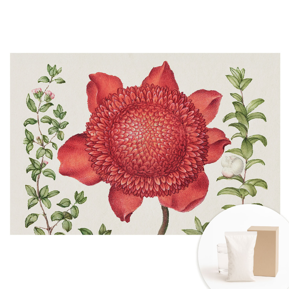 Fototapeta z nadrukiem na flizelinie Klasyczna kompozycja kwiatowa natury