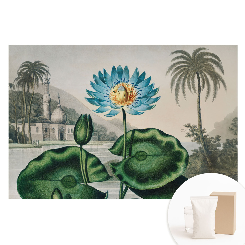 Fototapeta flizelinowa z nadrukiem Egzotyczna lilia w tropikalnym otoczeniu