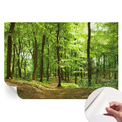 Samoprzylepna fototapeta na ścianę do sypialni Naturalna ścieżka