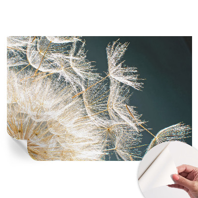 Samoprzylepna tapeta fotograficzna Dmuchawiec lekkości