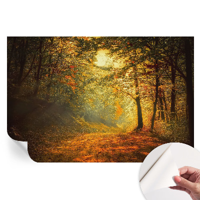 Tapeta fotograficzna samoprzylepna Jesienny pejzaż
