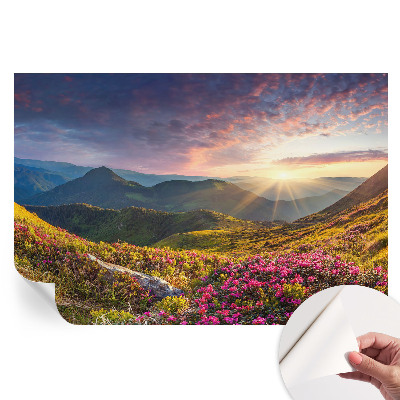 Fototapeta samoprzylepna do salonu Górska panorama