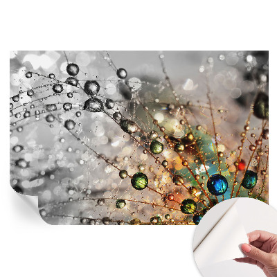 Fototapeta samoprzylepna na ścianę Rosę klejnoty