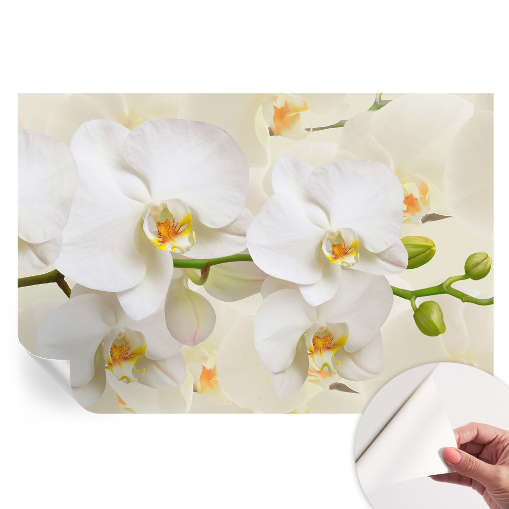 Tapeta fotograficzna samoprzylepna Kwiatowe bogactwo