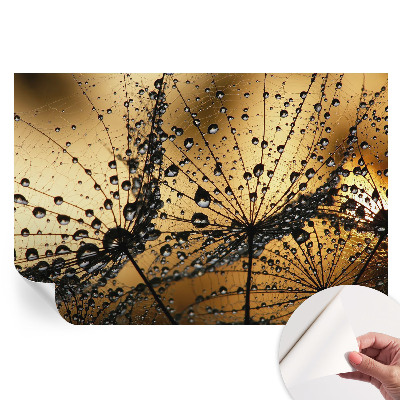 Fototapeta samoprzylepna do sypialni Delikatne krople