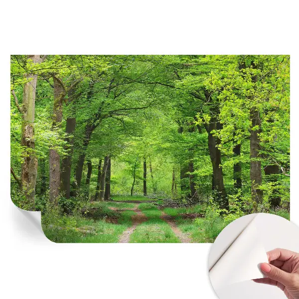 Samoprzylepna fototapeta na ścianę Leśna ścieżka do salonu