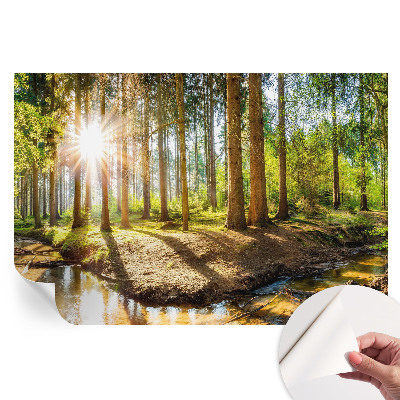Samoprzylepna fototapeta na ścianę Leśna idylla do sypialni