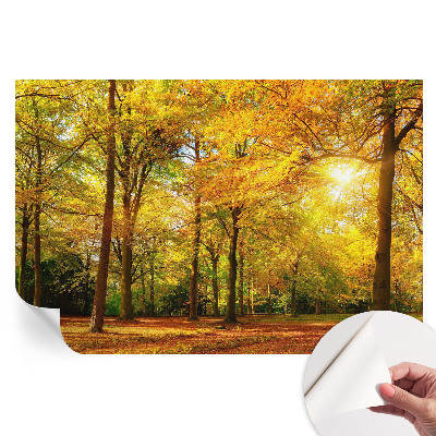 Fototapeta samoprzylepna do sypialni Złote liście