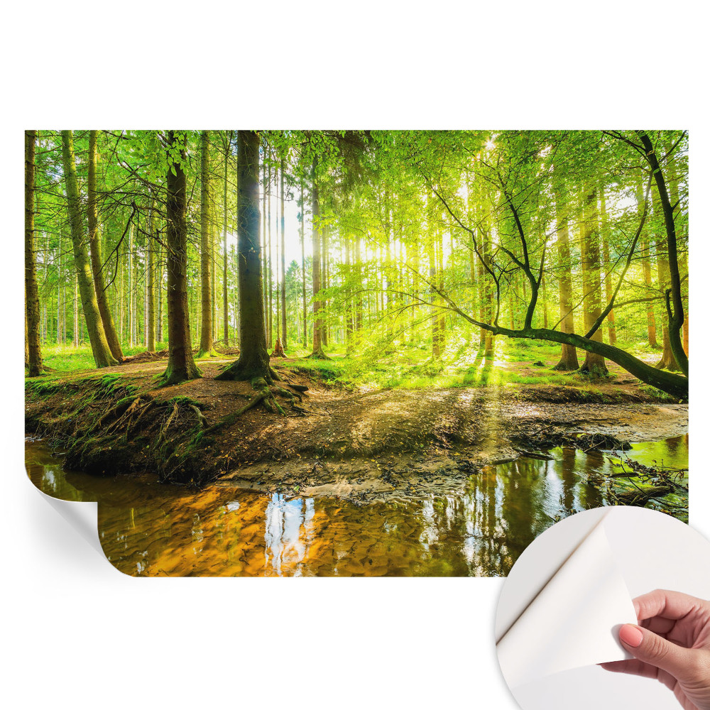 Samoprzylepna fototapeta zielony krajobraz do salonu