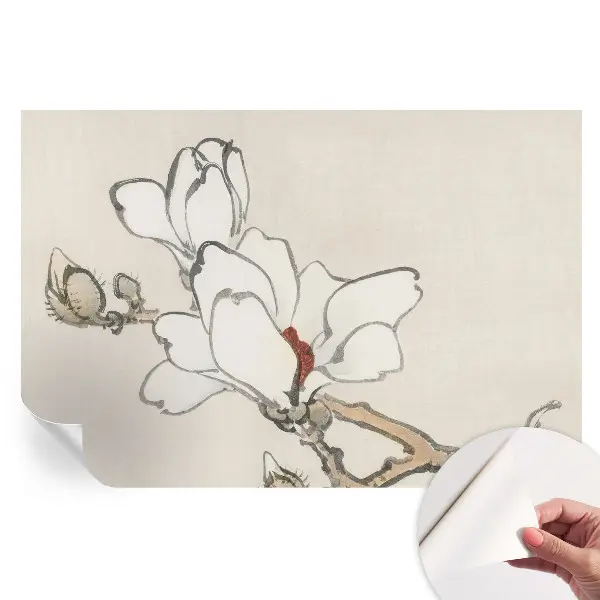 Samoprzylepna fototapeta na ścianę Delikatne magnolie
