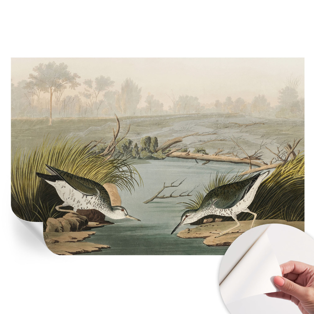 Fototapeta samoprzylepna do salonu Spokojny pejzaż