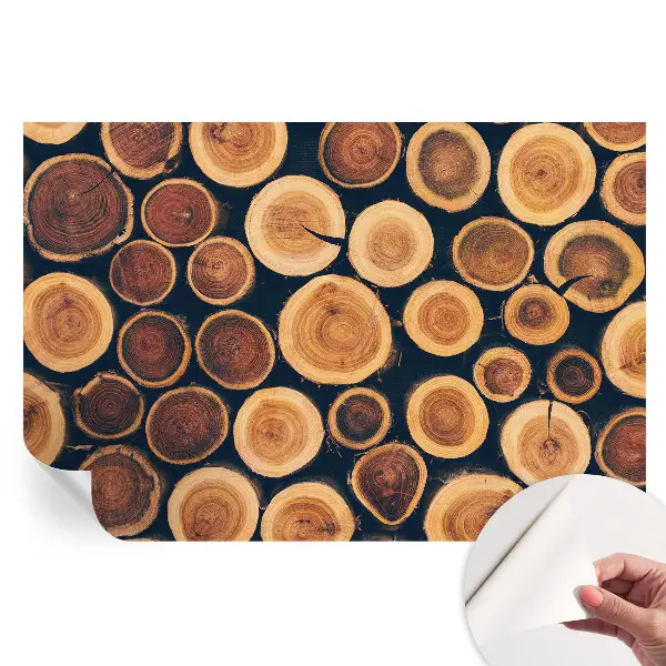 Samoprzylepna fototapeta Drewniane kręgi do sypialni