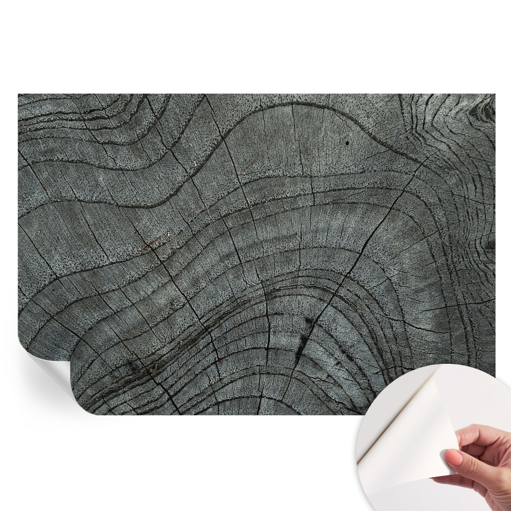 Nowoczesna fototapeta do salonu Słojowy wzór