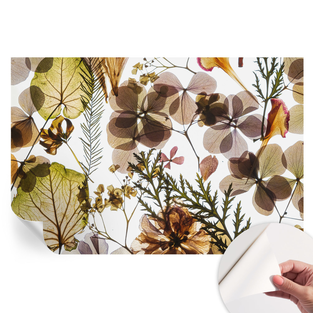 Fototapeta samoprzylepna do sypialni Naturalna kompozycja