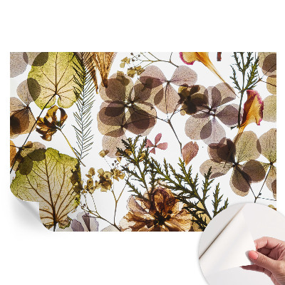 Fototapeta samoprzylepna do sypialni Naturalna kompozycja