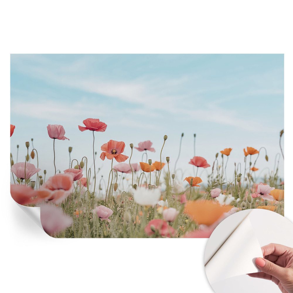 Nowoczesna fototapeta do salonu Kwiaty maku