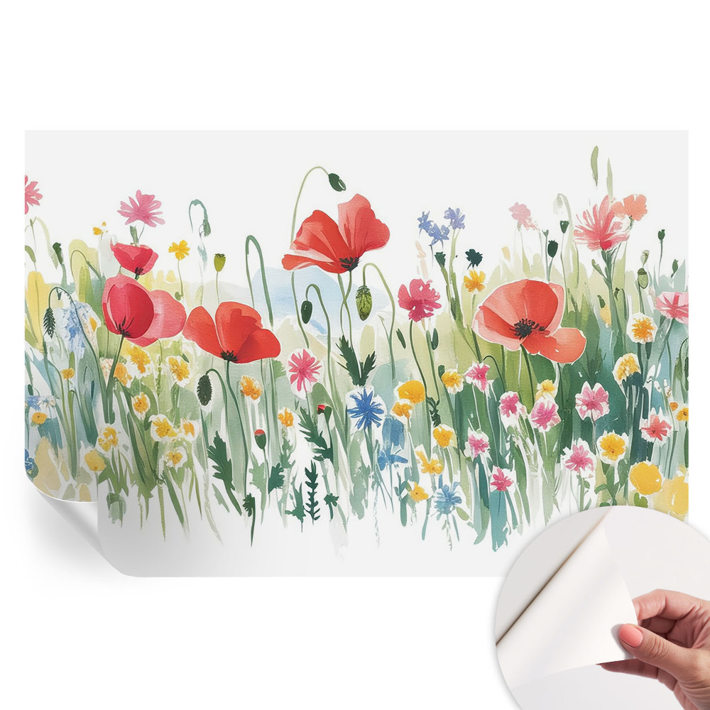 Nowoczesna fototapeta do salonu Letnia łąka