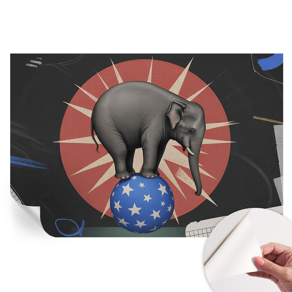 Tapeta fotograficzna samoprzylepna Cyrkowy słoń