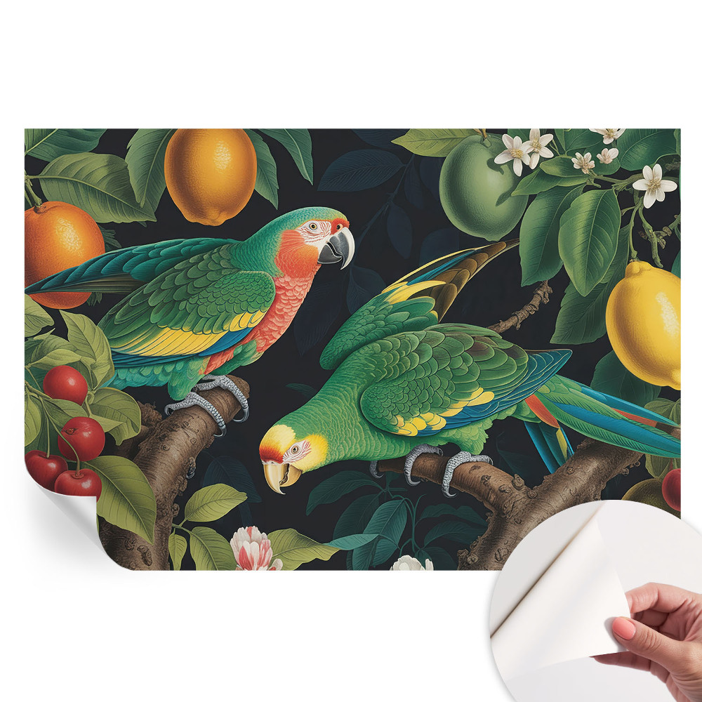 Tapeta fotograficzna samoprzylepna Tropikalna przygoda
