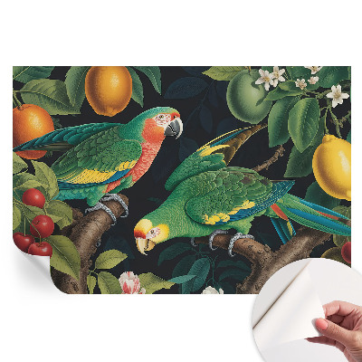 Tapeta fotograficzna samoprzylepna Tropikalna przygoda