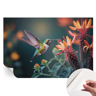 Tapeta fotograficzna samoprzylepna Koliberek kwiaty