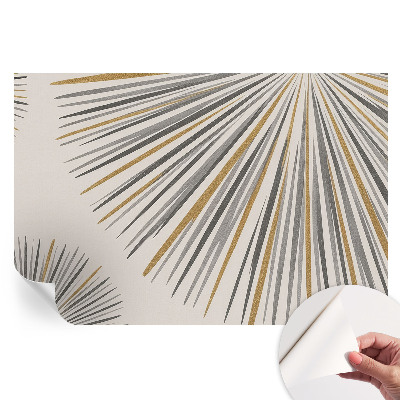 Fototapeta samoprzylepna na ścianę Geometryczne wachlarze