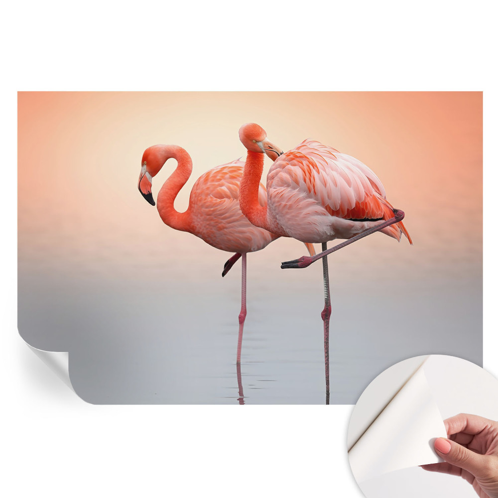 Nowoczesna fototapeta do salonu Delikatne flamingi