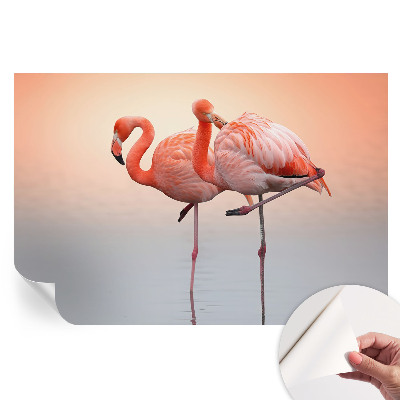 Nowoczesna fototapeta do salonu Delikatne flamingi