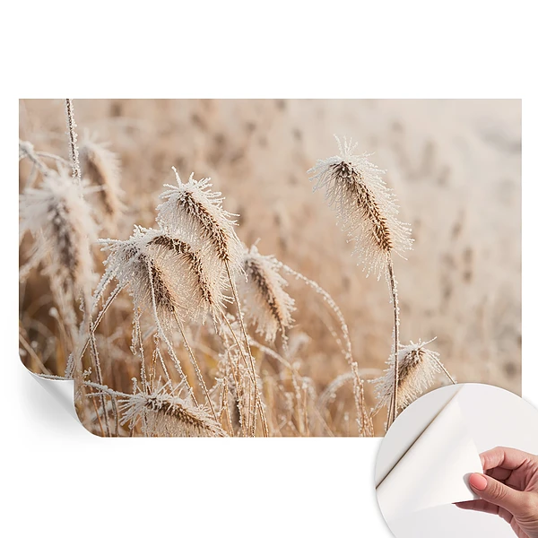 Samoprzylepna tapeta fotograficzna Zimowy pejzaż