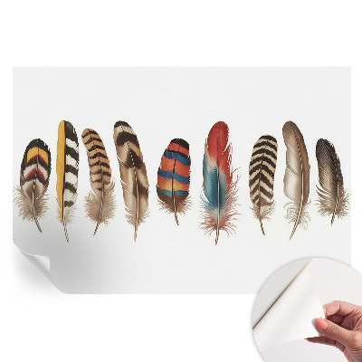 Fototapeta samoprzylepna do sypialni Barwne pióra