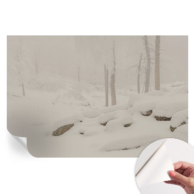 Fototapeta samoprzylepna do salonu Śnieżny las