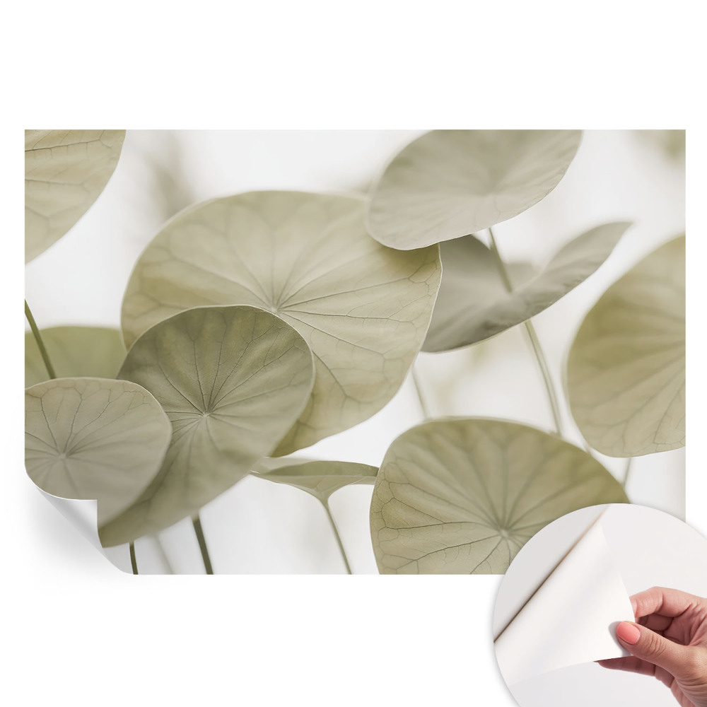 Fototapeta samoprzylepna do sypialni Naturalna elegancja