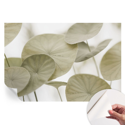 Fototapeta samoprzylepna do sypialni Naturalna elegancja
