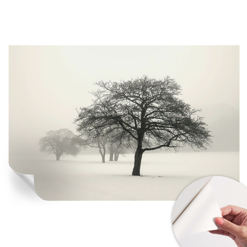 Tapeta fotograficzna samoprzylepna Zimowe drzewa