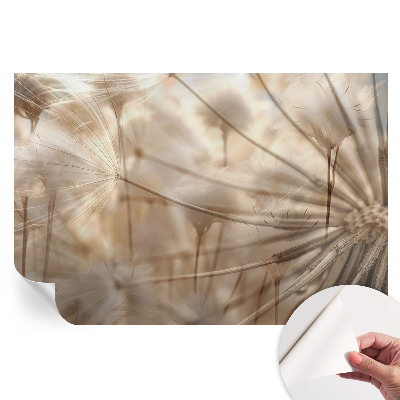 Fototapeta samoprzylepna na ścianę Subtelne dmuchawce