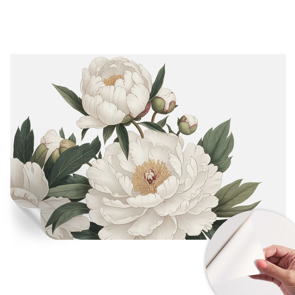 Fototapeta samoprzylepna na ścianę Białe peonie