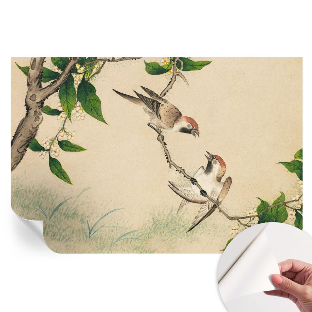 Tapeta fotograficzna samoprzylepna Klasyczny duet