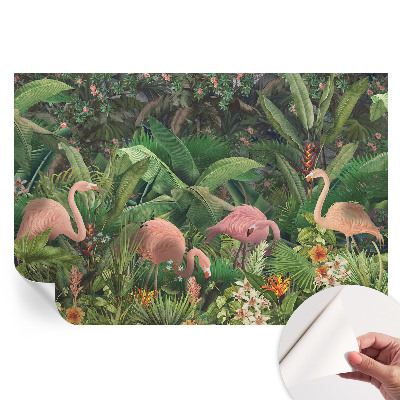 Fototapeta samoprzylepna do salonu Różowe flamingi