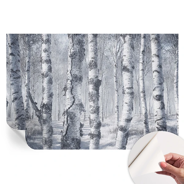 Samoprzylepna fototapeta Mroźna natura do sypialni