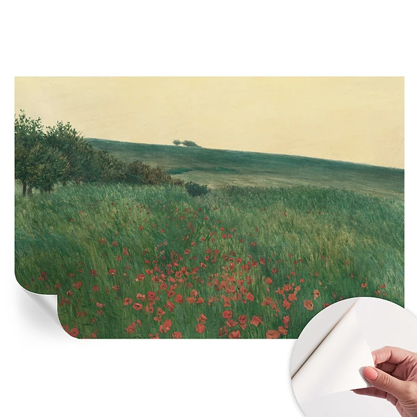 Samoprzylepna fototapeta Makowe pola do salonu