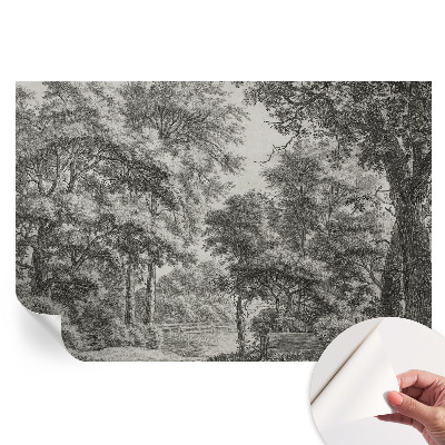 Samoprzylepna tapeta fotograficzna Leśna sceneria