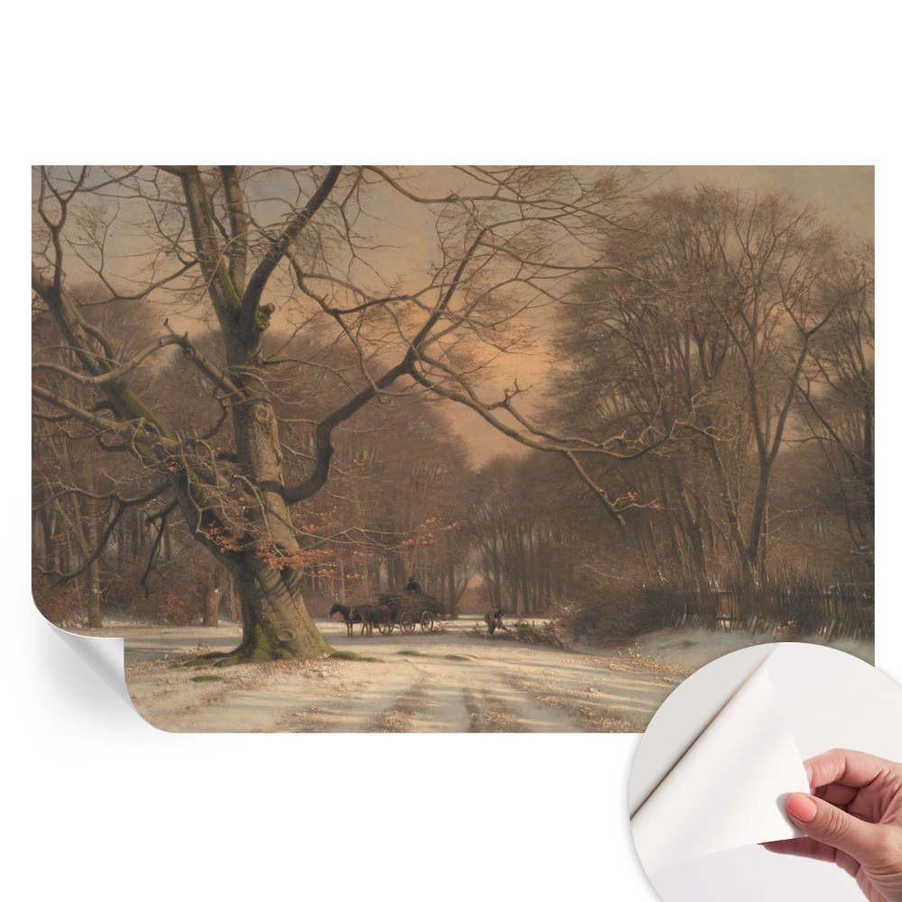 Fototapeta samoprzylepna do salonu Zimowy pejzaż