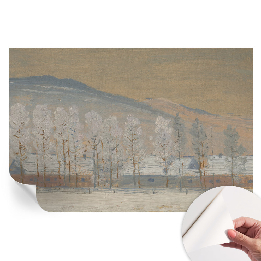 Fototapeta samoprzylepna do salonu Zimowa sceneria