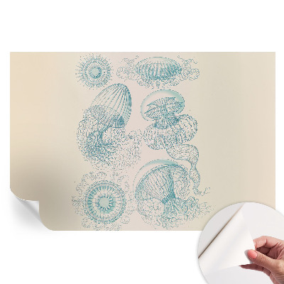 Fototapeta samoprzylepna do sypialni Morskie meduzy