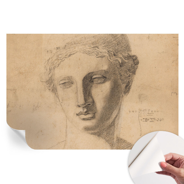 Fototapeta samoprzylepna do sypialni Kobiecy portret