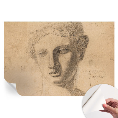 Fototapeta samoprzylepna do sypialni Kobiecy portret
