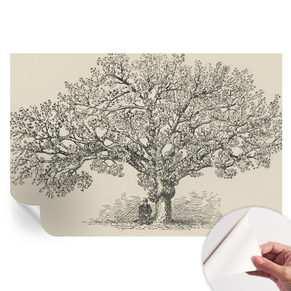 Fototapeta samoprzylepna do sypialni Ilustracja drzewa