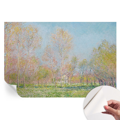 Fototapeta samoprzylepna na ścianę Wiosenny park