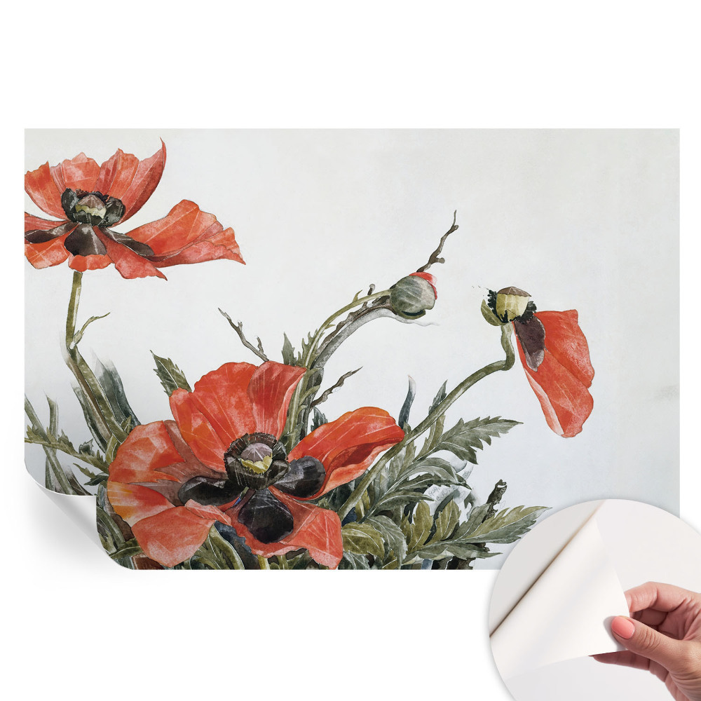 Tapeta fotograficzna samoprzylepna Czerwone maki