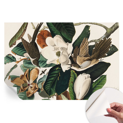 Fototapeta samoprzylepna do salonu Ptaki magnolie